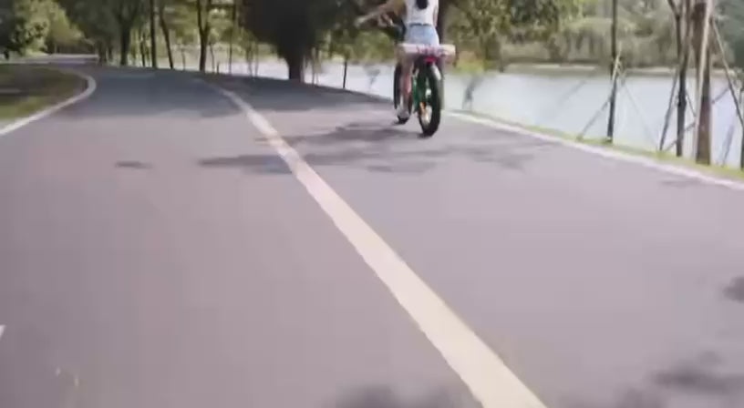 Video demonstration of the Engwe E26 fat tyre electric cargo bike – durable high-step design for off-road and urban rides, available at Volt Ventures.